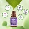 SALKING Aroma Oils, Set of 6 Types, Essential Oils, 100%