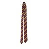 HENBRANDT Wizard School Red and Gold Fancy Dress Tie