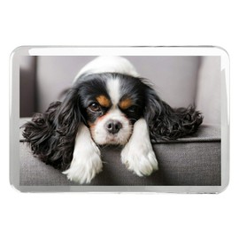 1 x Fridge Magnet -Cavalier King Charles Spaniel Classic Fridge Magnet - Dog Puppy 12388