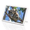 Mother Baby Koala Bear Classic Fridge Magnet - Cute Animal