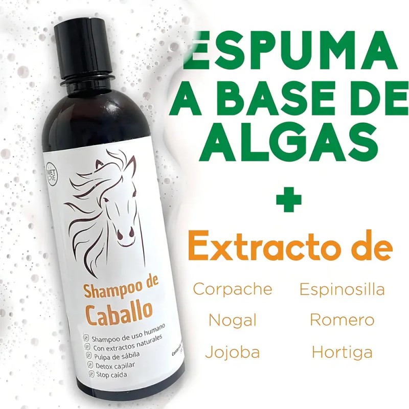 Shampoo Anticaída con Romero y Sábila para Crecimiento Capilar, de