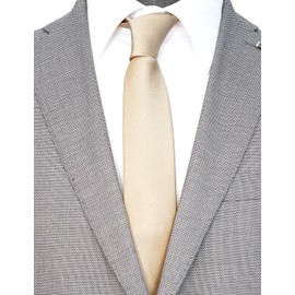 ZENXUS Solid Skinny Ties for Men, 2.5 inch Slim Champagne Ties Bulk for Wedding and Activities, 5-Pack