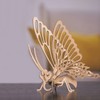 Graine Créative 3D Cardboard Model to Assemble - Butterfly