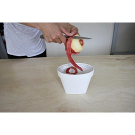 Yawata Kasei Tabletop Dust Box Way-be APYUI TABLE TRASHBOX 1L White