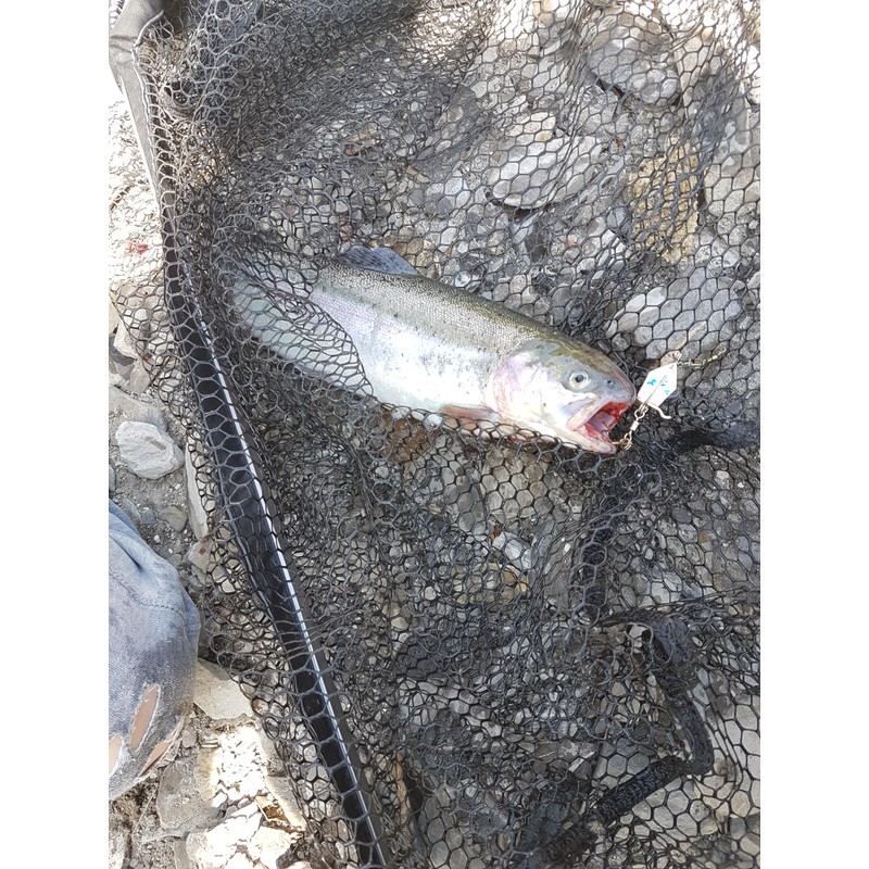 Twin-Turner® (2.5 gr. (blank) - trout