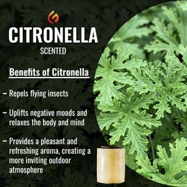 Eco Fuego Fuel Refills for Eco Fuego Fire Pits, 2 x 8-Hour Biodegradable Vegetable Wax Refills, Sustainable & Clean Burning, Interval Use, Citronella (Pack of 2)