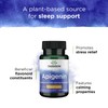 Swanson Apigenin Supplement, 50mg Capsules (90 Count), Helps Promote Sleep,