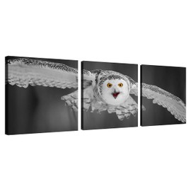 Black and White Barn Owl Wall Art Canvas Bird Decor Red Beak Owl Pictures on Wall Art for Home Office Decorations Living Room Bedroom and Kitchen Decor 3 Pcs Framed Canvas Prints 12X12inches
