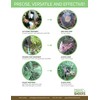 Precision Foam Weed Killer Kit for Tough Weeds