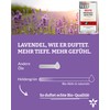 Heldengrün® BIO Roll-On Lavendel [100% NATURREIN] Dermatologisch getestet - 2-in-1: