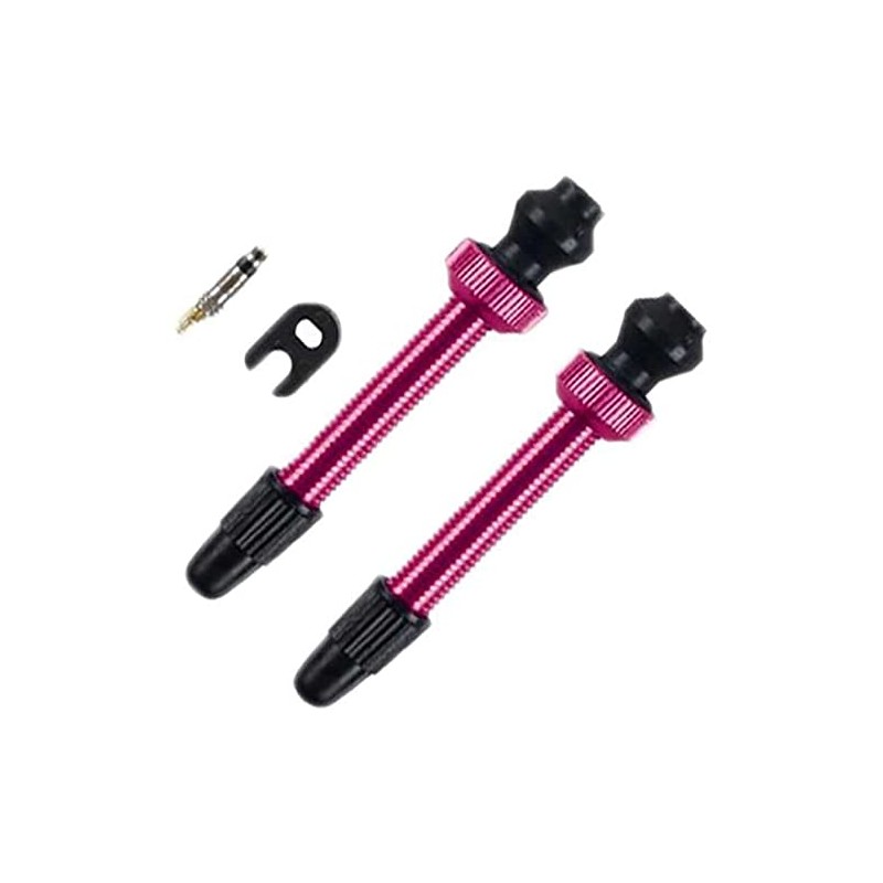 Barbieri Pair of Valve Tubeless SV 45 mm Pink (Valves