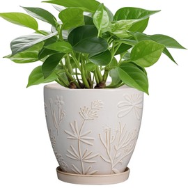 MPotTo MPotTo 6 Inch Ceramic Plant Pot for Indoor Plants Outdoor Round Planter Flower Pot with Drainage Hole and Saucer for Home Garden Office Decor White