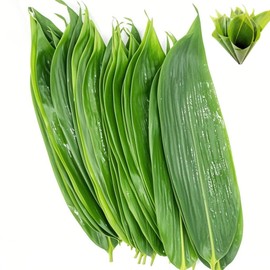 Bamboo Leaf Sushi Plate 100 Pcs Large 18“ x 4” Medium 13.8” x 3.2”，Banana Leaf Substitutes，Food Decorate Fresh Vacuum Bamboo Leaves Dish Decoration Photography of Dishes，Banana Leaves Make Zongzi