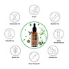 Vitabay Vitamin D3 Drops 50 ml | 1,500 Vegan Drops