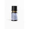 Nature's Basket Lavender Essential Oil - 15 Ml