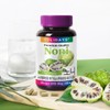 Highly concentrated noni extract powder, 1 large bottle, 4 months'