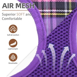 PUPTECK Soft Mesh Dog Harness and Leash Set Pet Puppy Cat Comfort Padded Vest No Pull Harnesses, Purple, L