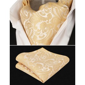 Alizeal Men's Paisley Woven Self Cravat Tie Ascot and Pocket Square Set (Champagne)