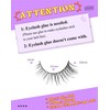 Lashes Wispy False Eyelashes Colour Gradient False Eyelashes Natural Look