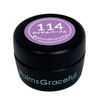 Palms Graceful Color Gel 3g 114 Royal Purple