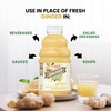 R.W. Knudsen Ginger Juice Organic, 32 fl oz (Pack of