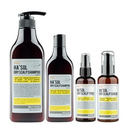 Hesol Haesol Dry Scalp Serum 100ml Dry Scalp / 헤솔 드라이 스캘프 세럼 100ml 건성두피