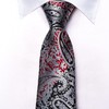 Hi-Tie Boys Black Red Silver Ties Self Tie Silk Striped