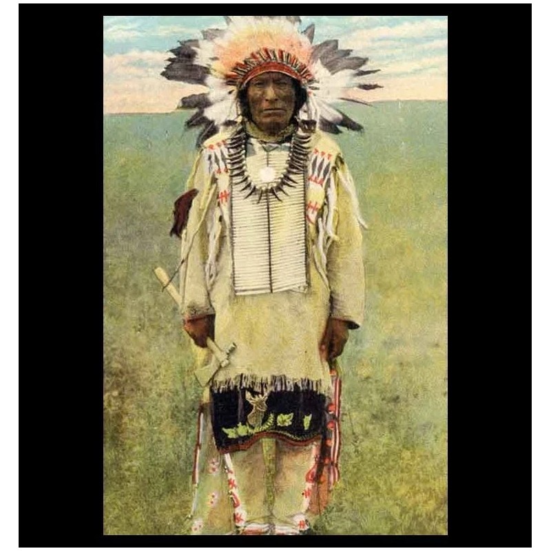 Iron Hail,Dewey Beard PHOTO, SURVIVED WOUNDED KNEE Little Bighorn Lakota