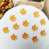 200Pcs Fall Nail Charms Autumn Maple Leaf Nail Rhinestones Flat