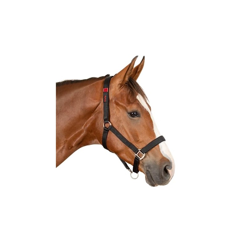 Waldhausen AWA Safety Halter