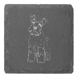 4 x 'Schnauzer Puppy' 10cm Square Slate Coasters (CR00219885)