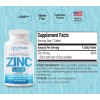 Purgen Labs Zinc Sulfate 220mg 100 Tablets