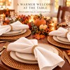 12 Piece Woven Napkin Ring Set Bohemian Napkin Holders for