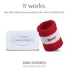 Mini RAYONEX – Maxi Popular: The Mobile Bioresonance Allrounder for