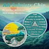 15 Year Sobriety Chip Triplate AA Coin Medallion Alcoholics Anonymous