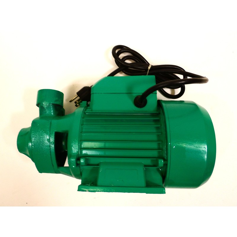 1 H.p Electric Water Removal Pump, Heavy Duty Compact Water