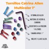 Skate Quarters Catrina Juego de 8 Tornillos Multicolor para Montaje