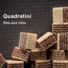 Loacker Quadratini Cappuccino Wafer Cookies LARGE - Premium Crispy Bite