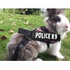 Vehomy Rabbit Harness with Leash for Bunny Rabbits Cats Small