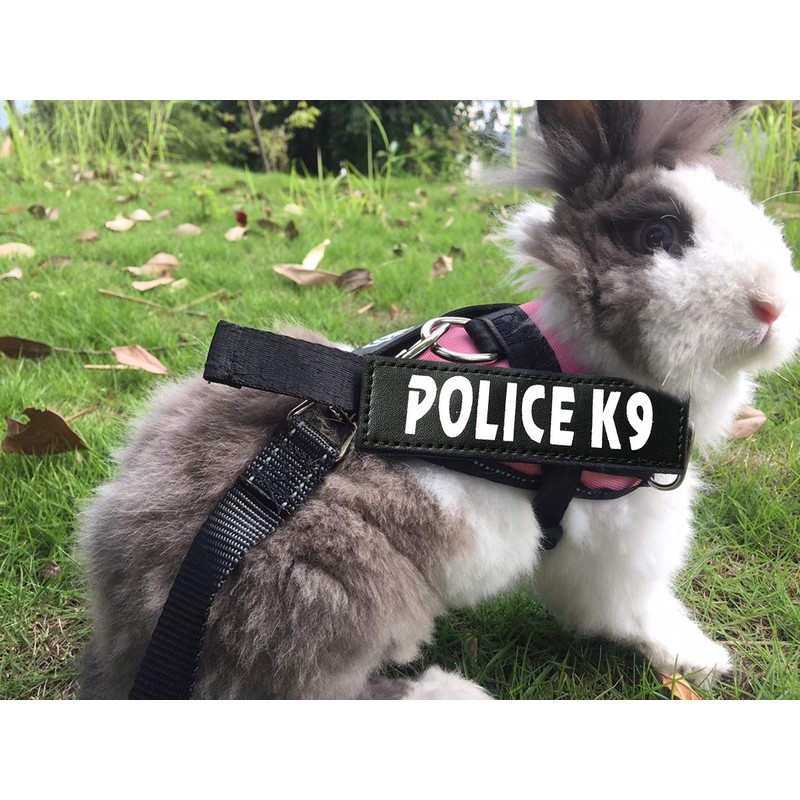 Vehomy Rabbit Harness with Leash for Bunny Rabbits Cats Small