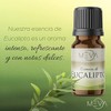 MEVA Esencias para Difusores y Humidificadores de Aromas 5ml Varios