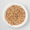 신선약초 국산 볶은 맥아 500g Fresh Herbal Domestic Roasted Barley