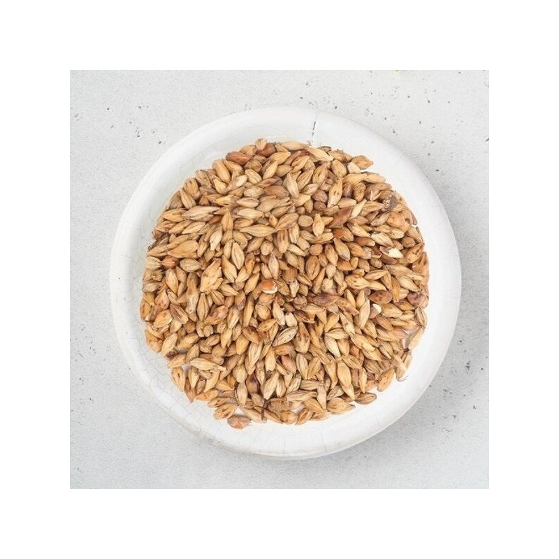 신선약초 국산 볶은 맥아 500g Fresh Herbal Domestic Roasted Barley