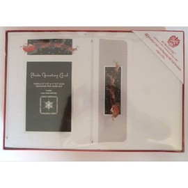 Burgoyne 40 Holiday Photo Greeting Cards with Matching Self-Seal Envelopes, Santa's Sleigh