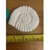 Unbranded Silicone RUBBER MOLD Small AMMONITE Fossil (YKM-S3044) -