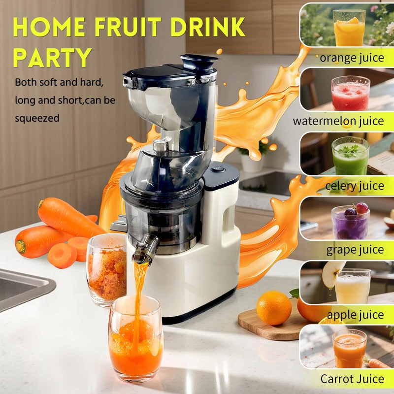 Cold Press Juicer Machines Slow Masticating High Yield Multi-Functional for