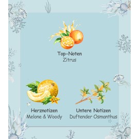 Duftkerzen Geschenke für Frauen | Duftkerzen Geschenkset for Anxiety | 3 Duftkerzen im Glas | Entspannungsgeschenke für Frauen | Gelassener Ozean