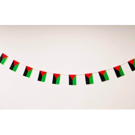 Martinique Flag 40 Pack Martinique Flag Martinique Garland 11.4M Martinique Bunting National Flag Martinique Flags 14 x 21 cm