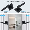 HISAFE Black Exterior Door Handle with Lock and Keys, Keyed