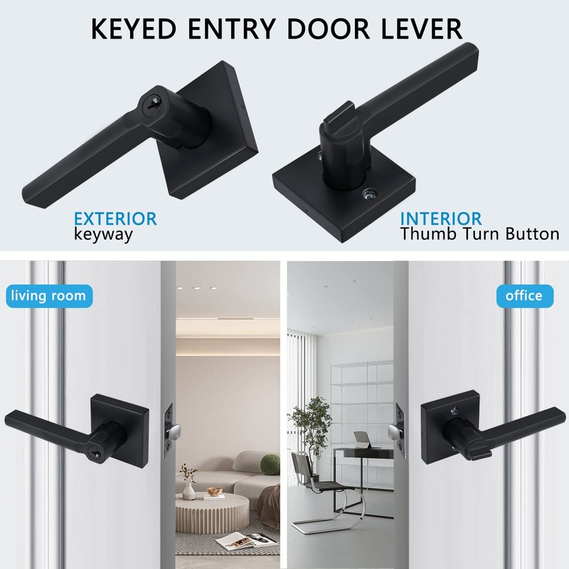 HISAFE Black Exterior Door Handle with Lock and Keys, Keyed